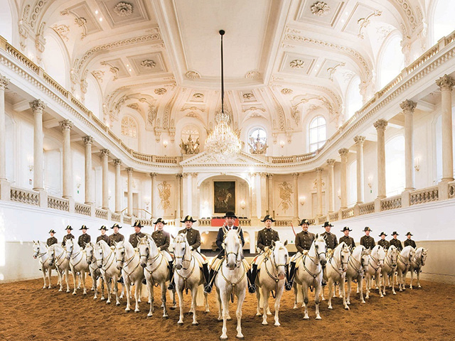 Advent Bécsben - Spanyol lovasiskola program