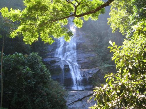 Félnapos fakultatív Dzsiptúra a Floresta da Tijuca területén