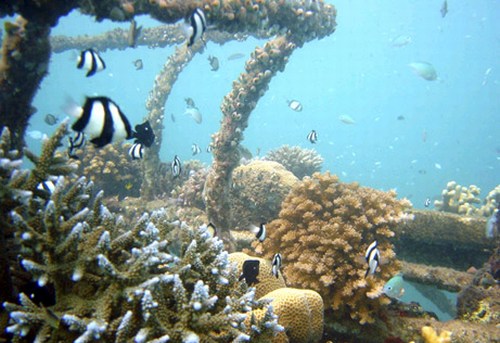 Egész napos hajókirándulás a Lembongan szigethez ebéddel
