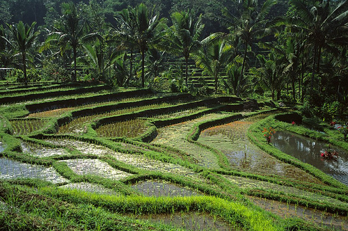 Észak-Bali
