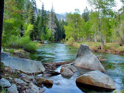 Paradise Valley