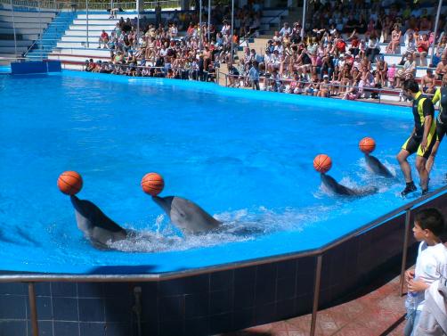 Mallorca-Marineland