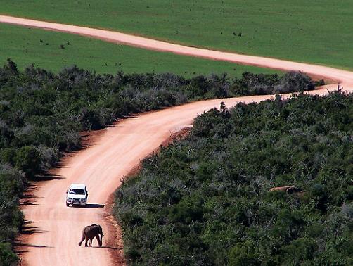 Jeep Safari