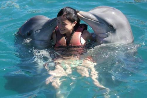 Delfinekkel fürdés Varaderóban