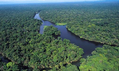 Tortuguero Nemzeti Park (3 nap / 2 éjszakás hosszabbítás)