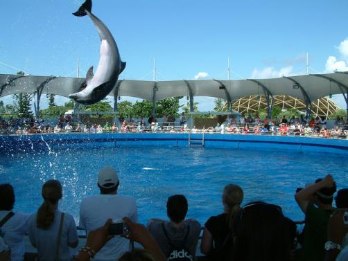 Seaquarium